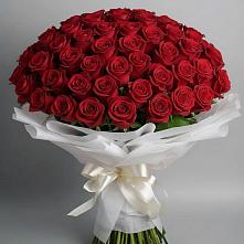 Букет 101 Красная роза Блэк Мэджик в Темпы