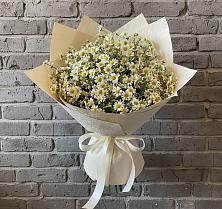 Букет цветов из:  Ромашки в Темпы