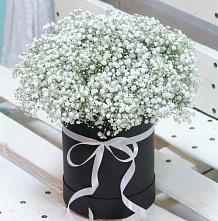 Цветочная композиция из Гипсофила в шляпной коробке #REPLACE_PRED# Темпы