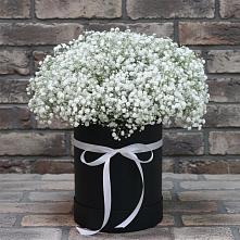Цветочная композиция из Гипсофила в шляпной коробке в Темпы