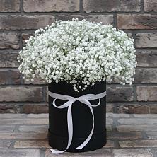 Цветочная композиция из Гипсофила в шляпной коробке в Темпы