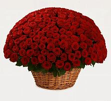 Премиум букет из: Розы в Темпы